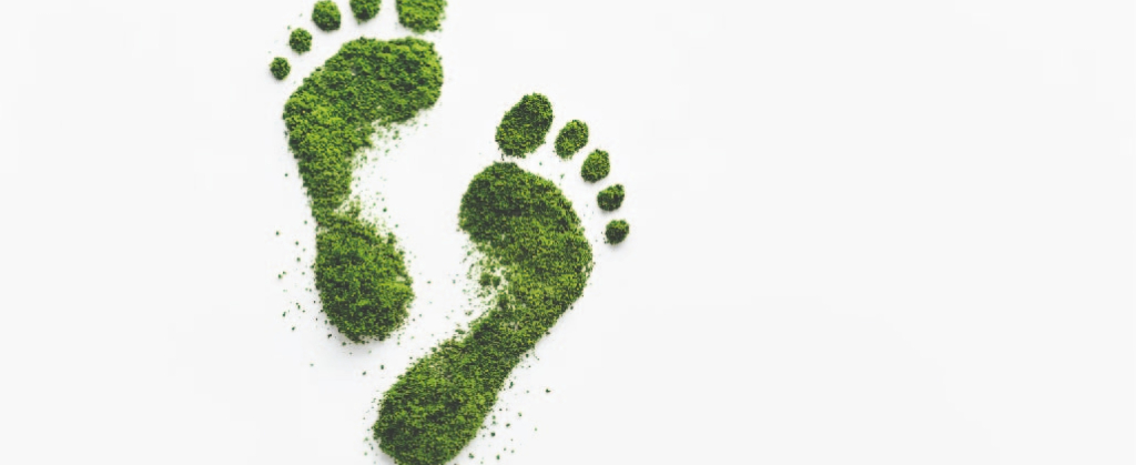 Carbon footprint